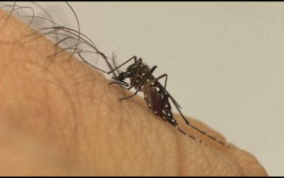 Morre a segunda vítima de dengue no DF