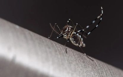 DF já inspecionou 1,7 milhão de lares para eliminar a dengue em 2022